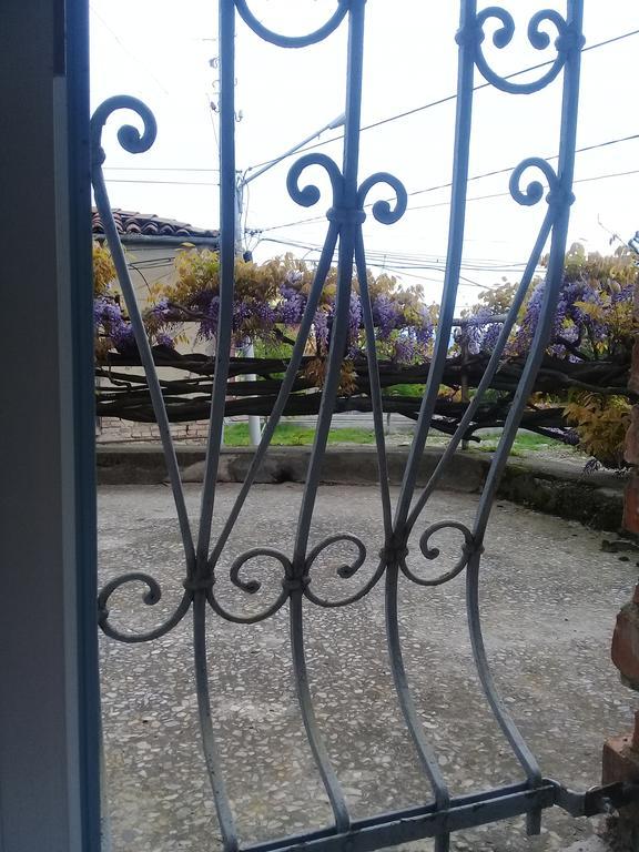 Tlt Guest House Tel Avi Exterior foto