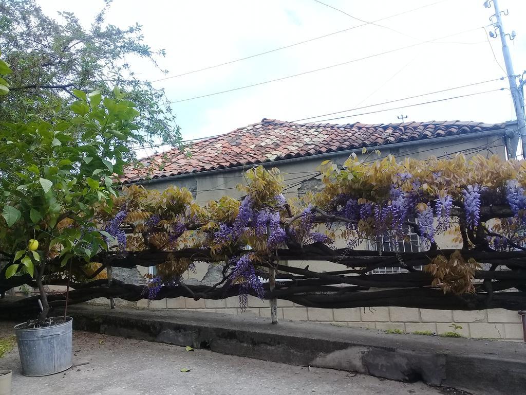 Tlt Guest House Tel Avi Exterior foto